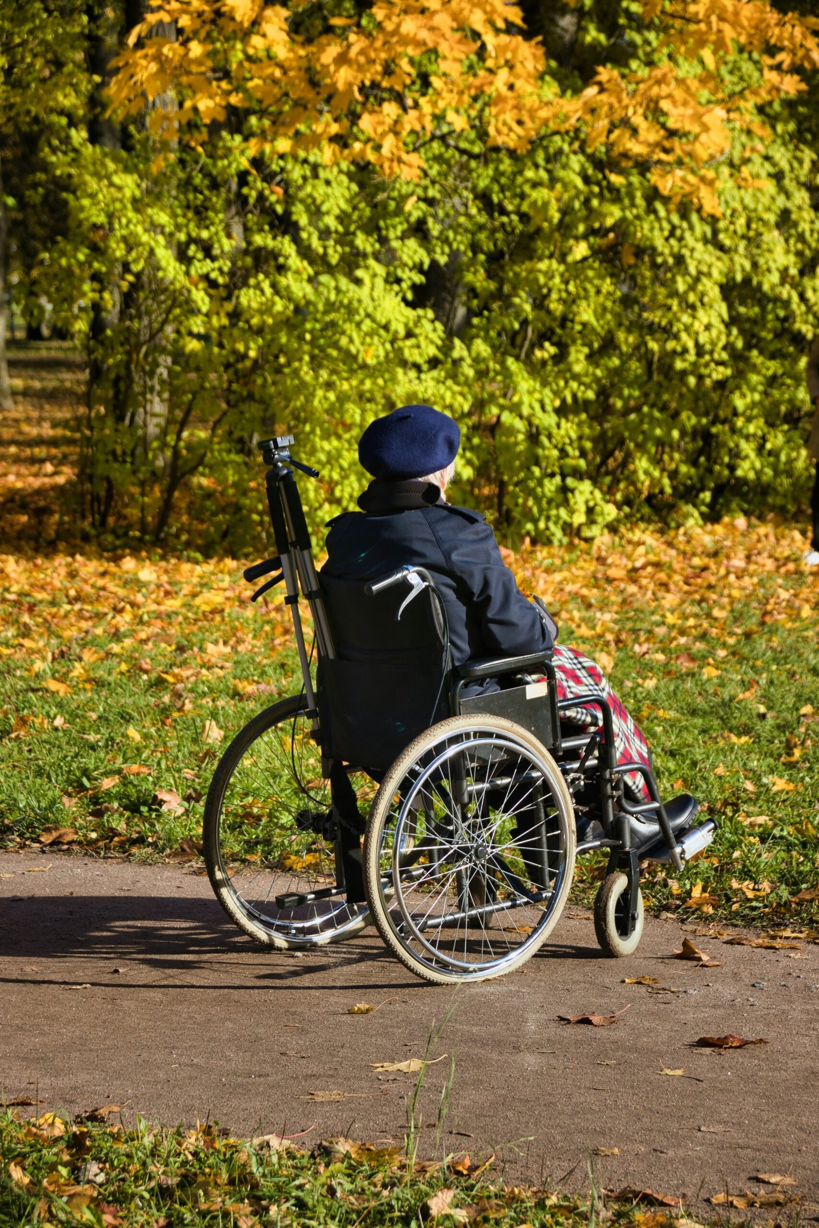All-Terrain Outdoor Off-Road Wheelchair